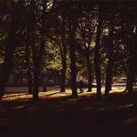 Francesca Bogan Profile Picture