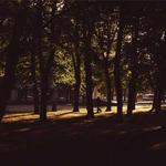 Francesca Bogan Profile Picture