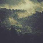 Paris Bauch Profile Picture