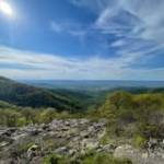 Viraag Patel profile picture