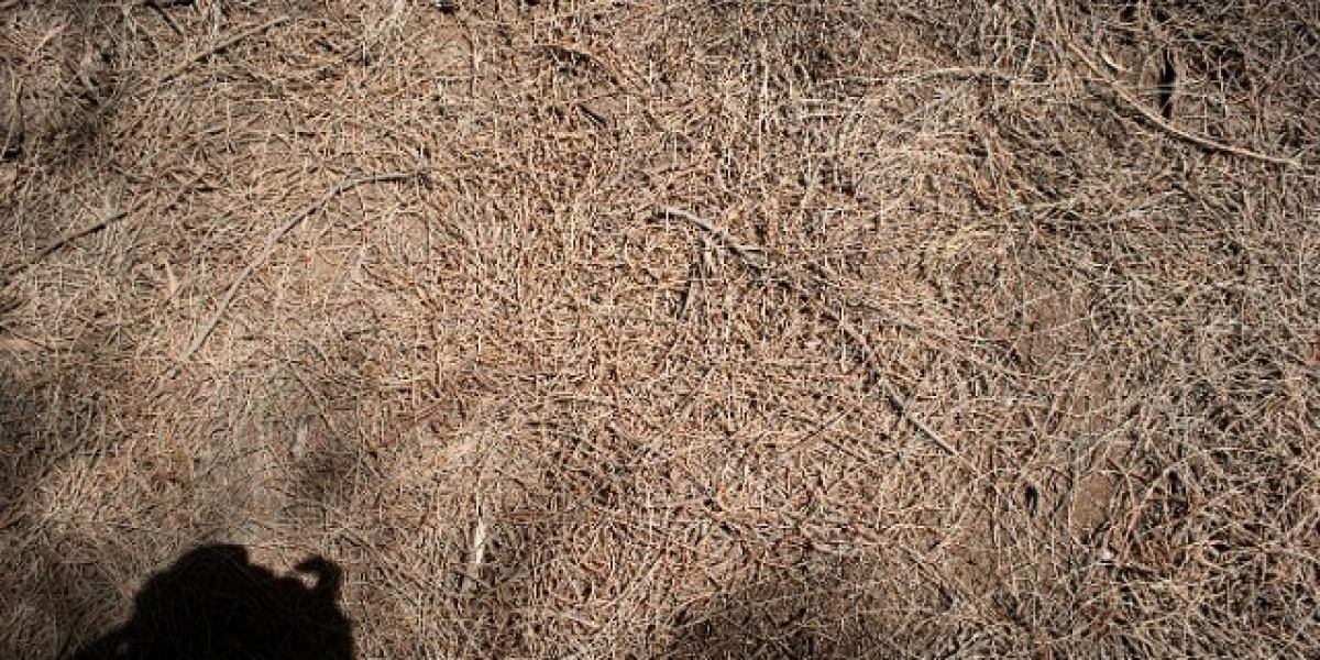 How Creatine Works: Advantages, Utilization And Tips